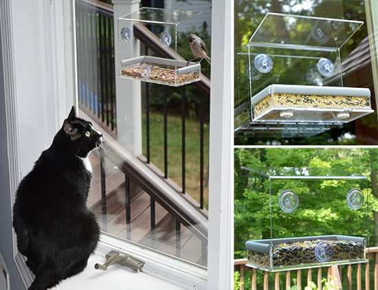 birds-for-cats-how-to-set-up-a-bird-feeder-for-indoor-cats-1