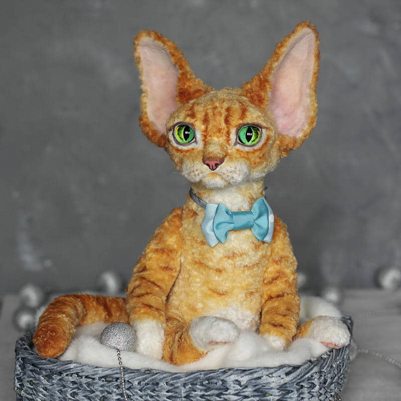 devon-rex-5