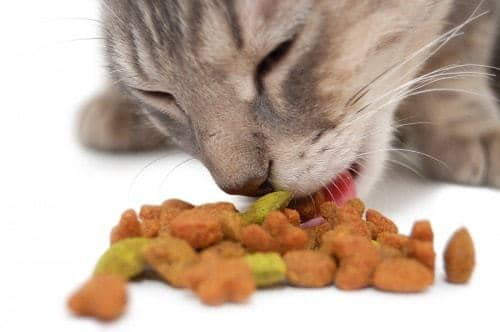 dry-cat-food-calorie-count-2