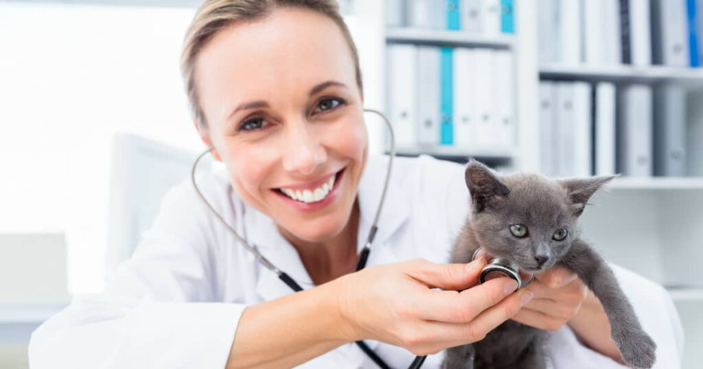 get-your-cat-to-like-the-vet-2
