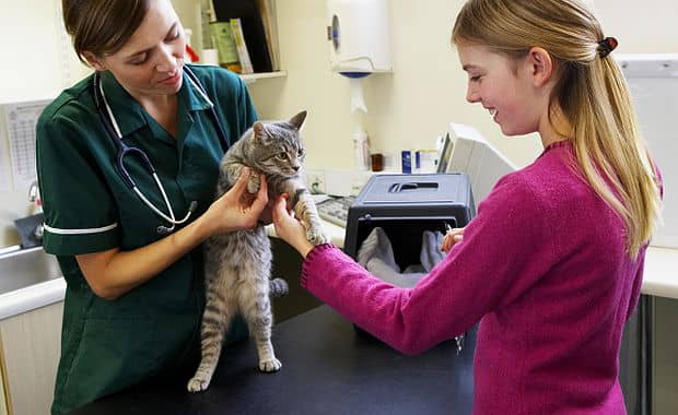 take-your-cat-to-the-vet-week-2012-4