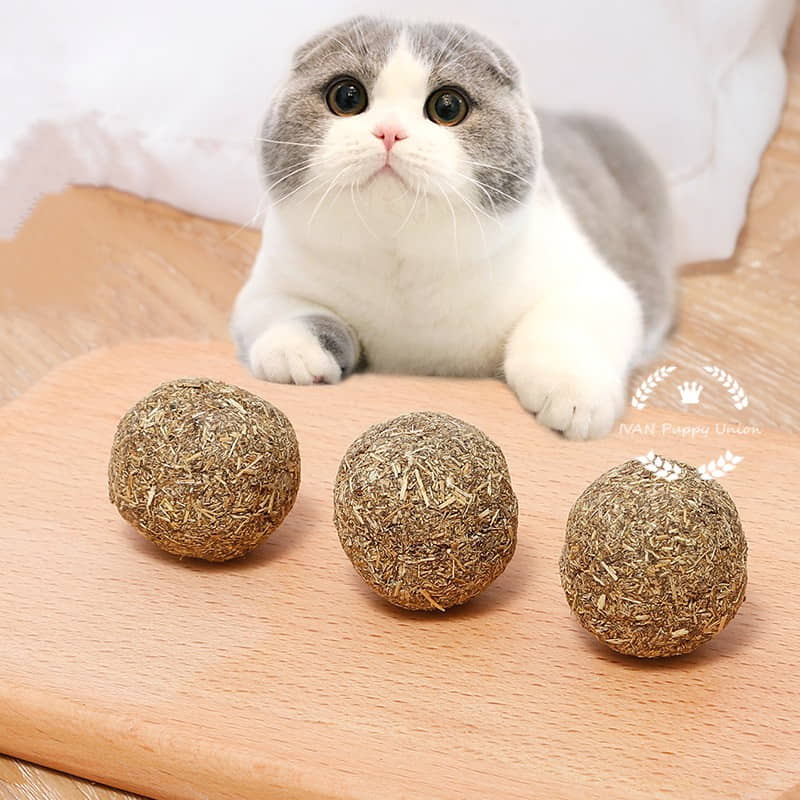 the-fat-cat-and-the-treat-ball