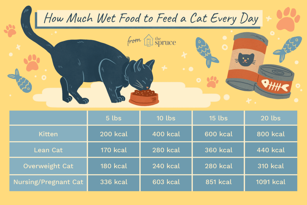 wet-cat-food-calorie-count-3