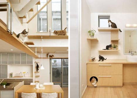 cat-friendly-design-tips-youll-love-2