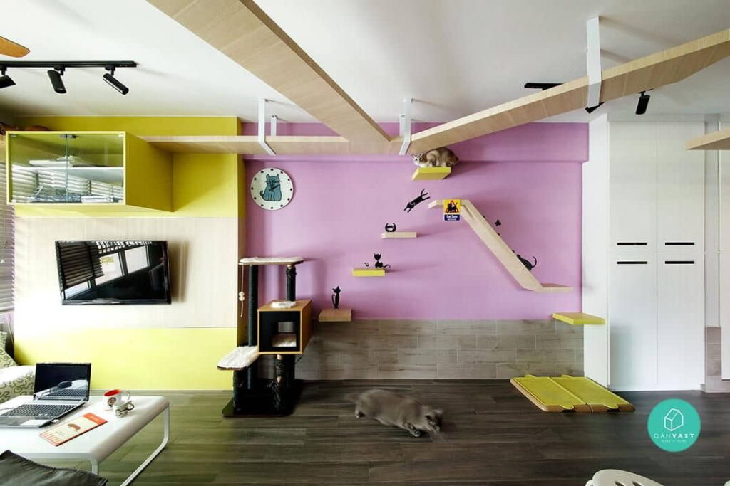 cat-friendly-design-tips-youll-love-3