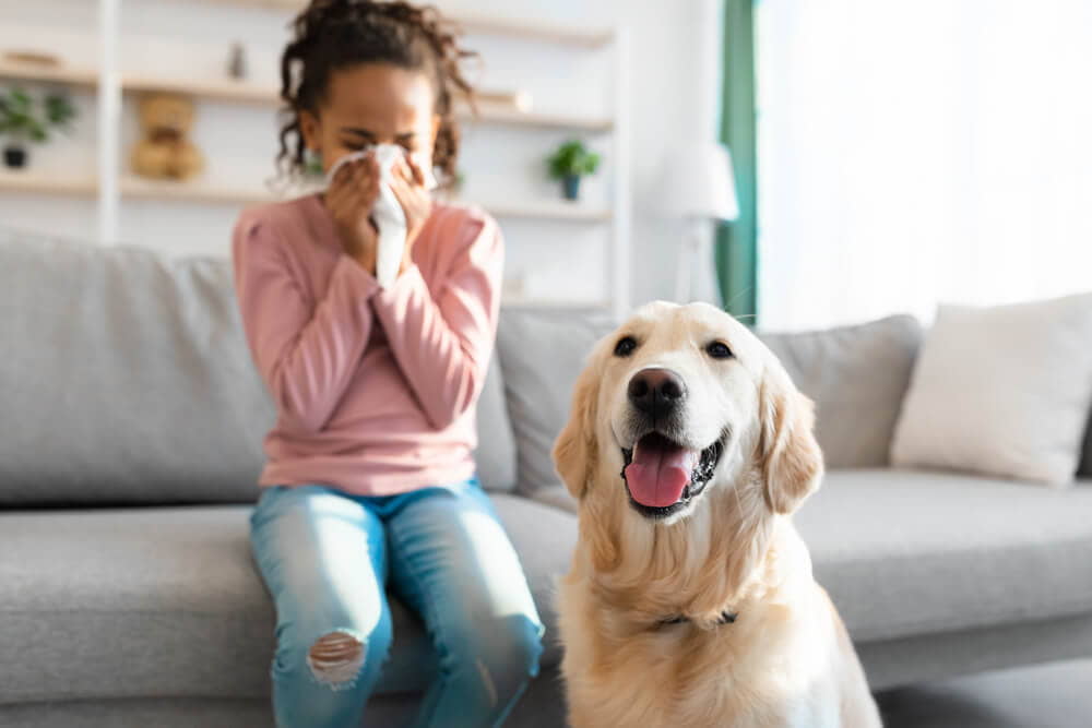 treatment-to-pet-allergies