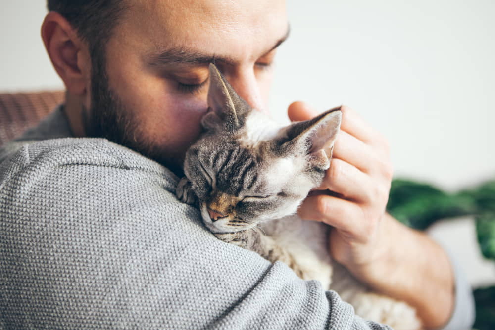 do-cats-feel-love-5-ways-we-know-cats-feel-love-2