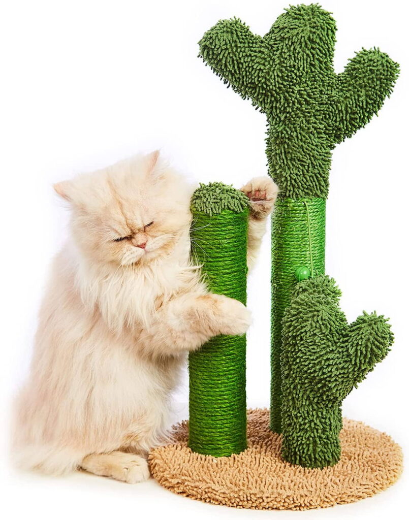 how-to-choose-a-scratching-post-for-your-cat