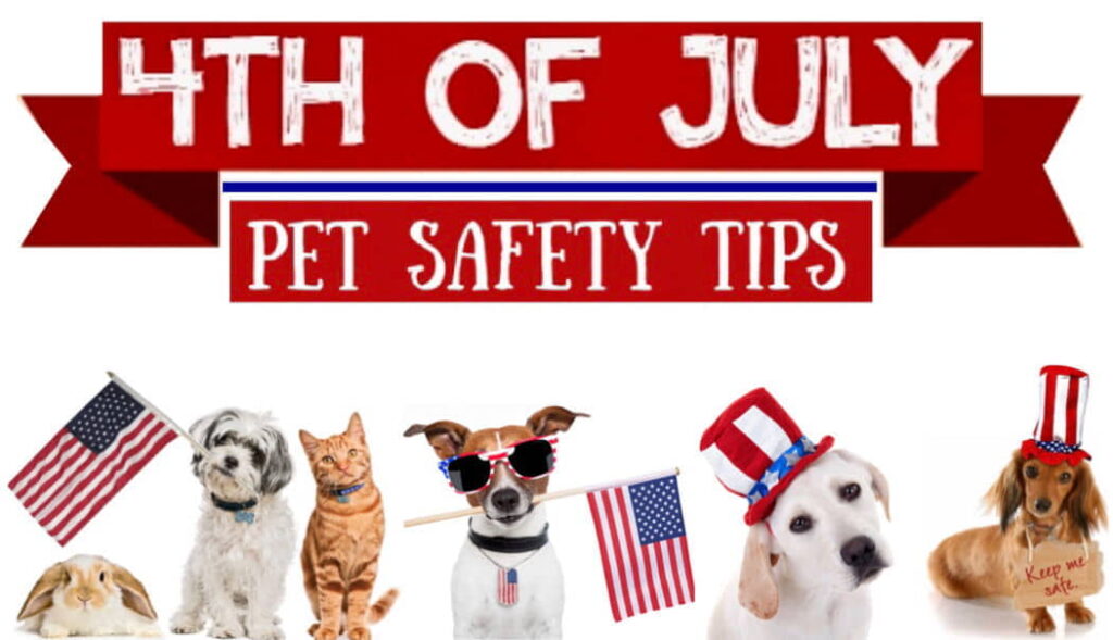 keep-your-pet-safe-on-july-4