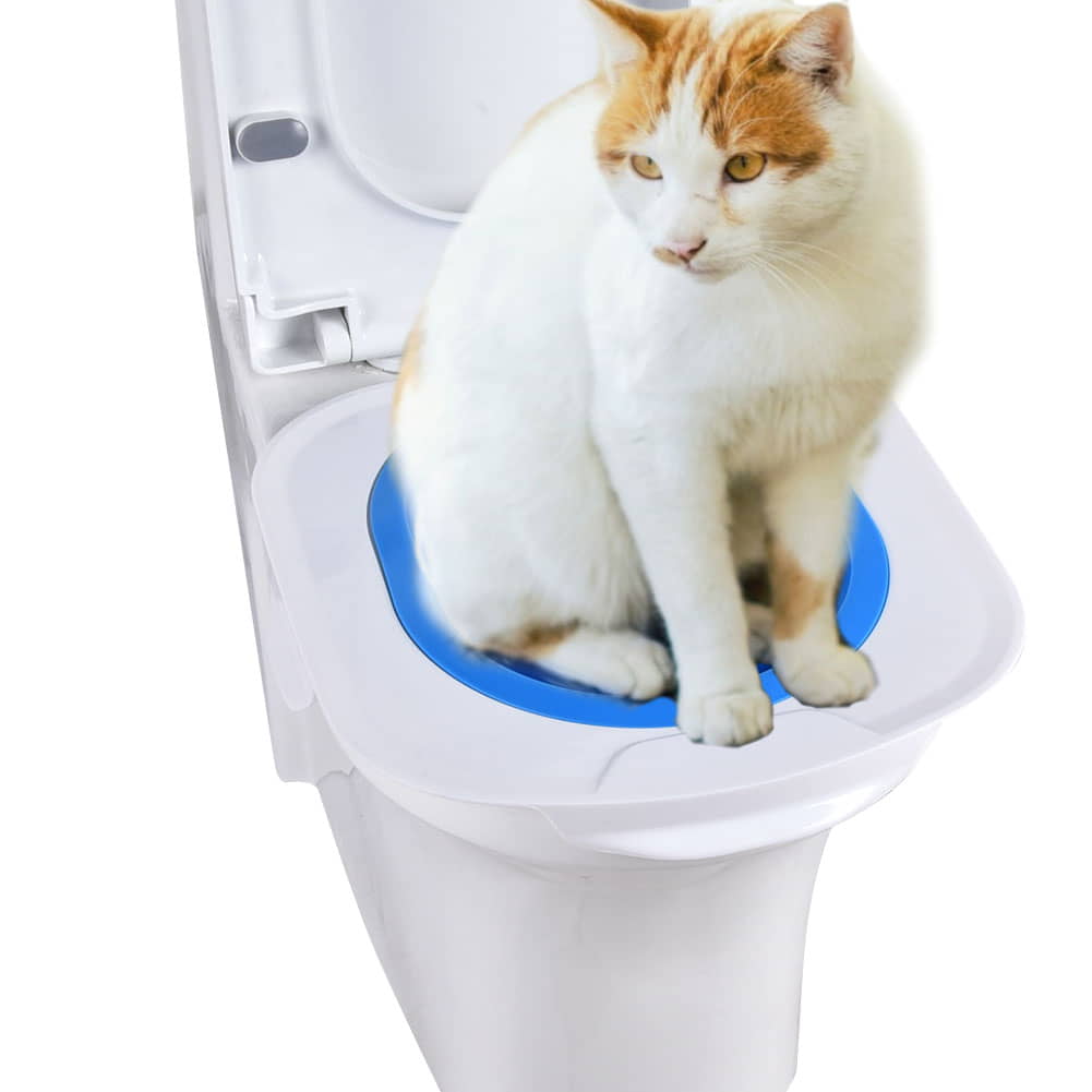 potty-training-how-to-train-your-cat-to-use-the-litter-box-catfoodsite-1