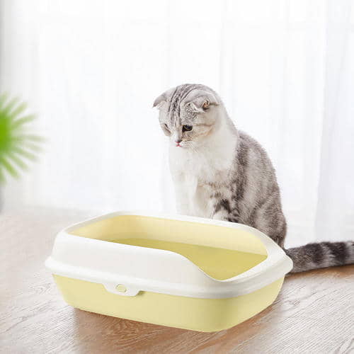 potty-training-how-to-train-your-cat-to-use-the-litter-box-catfoodsite-2