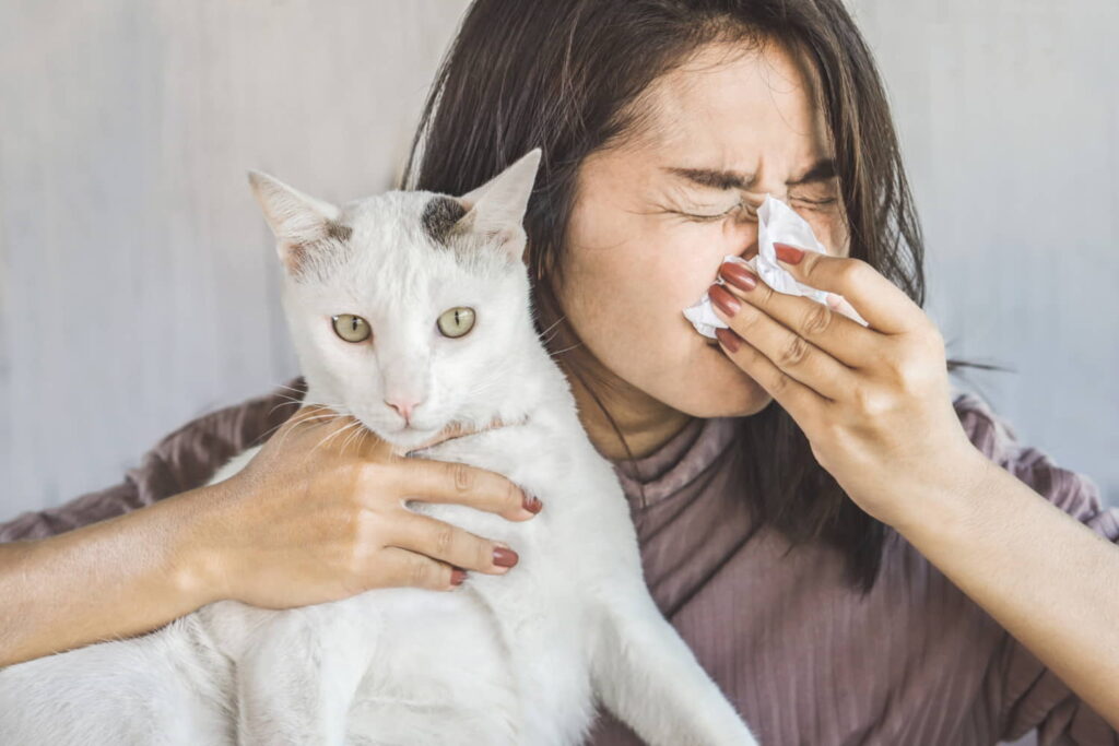 treatment-&-home-remedies-for-cat-allergies
