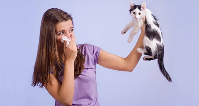 treatment-&-home-remedies-for-cat-allergies