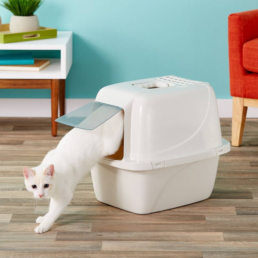 what-size-litter-box-should-i-have-2
