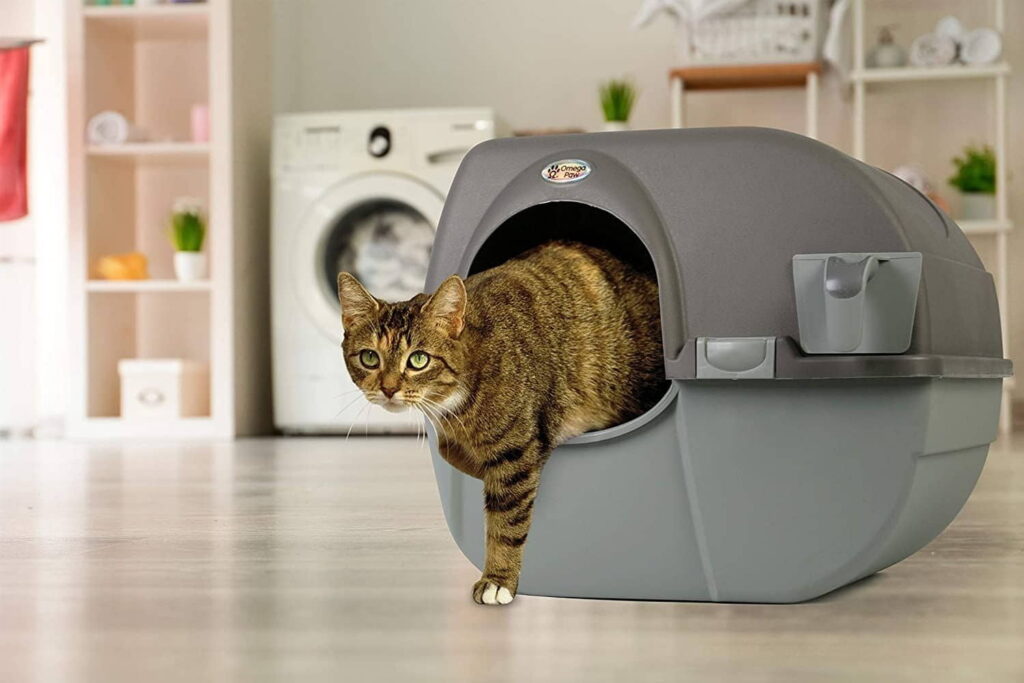 what-size-litter-box-should-i-have-3
