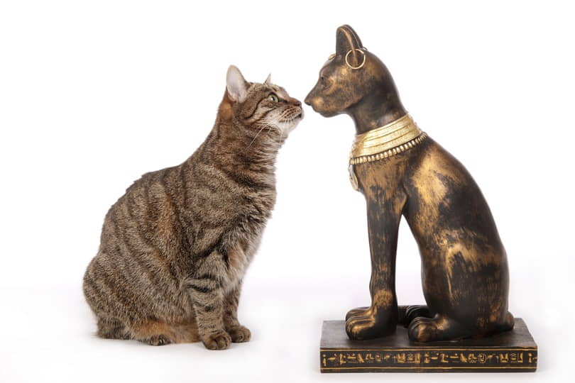 what-attracted-ancient-egyptians-to-cats?