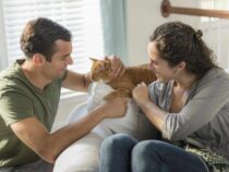 Considerations Before Adopting Your First Cat￼