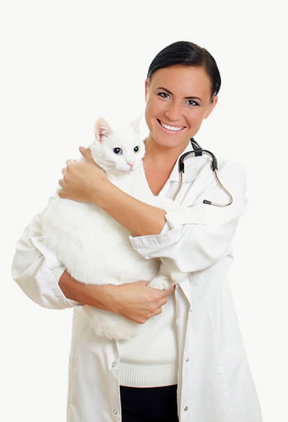 low-stress-travel-to-the-vet-with-your-cat