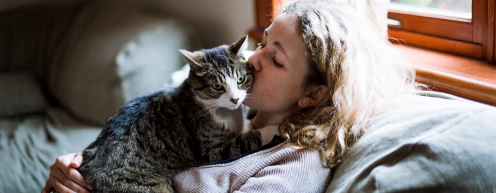 12-most-popular-cat-breeds-for-feline-lovers-3