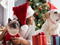 Dealing With Pet Health Emergency on Holidays