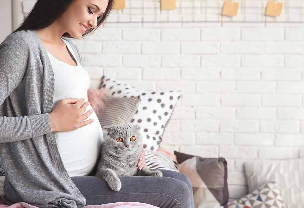 how-pregnancy-and-your-new-baby-affect-your-cat-4