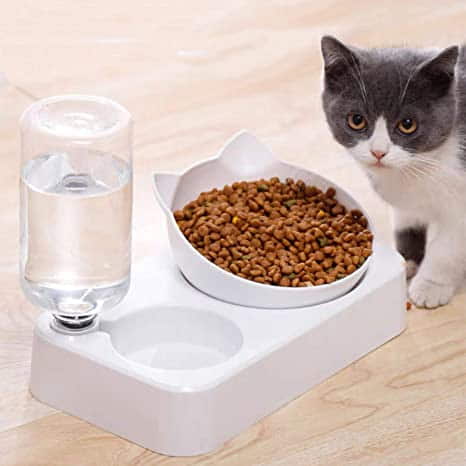 what-to-know-before-you-buy-food-and-water-bowls-for-your-cat-1