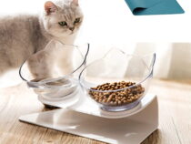 What to Know Before You Buy Food and Water Dishes For Your Cat