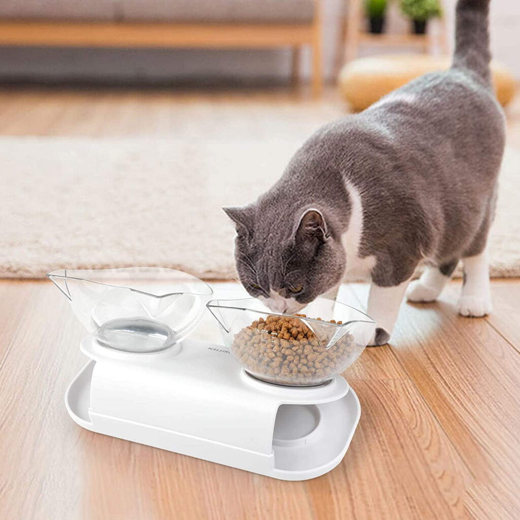 what-to-know-before-you-buy-food-and-water-bowls-for-your-cat-4