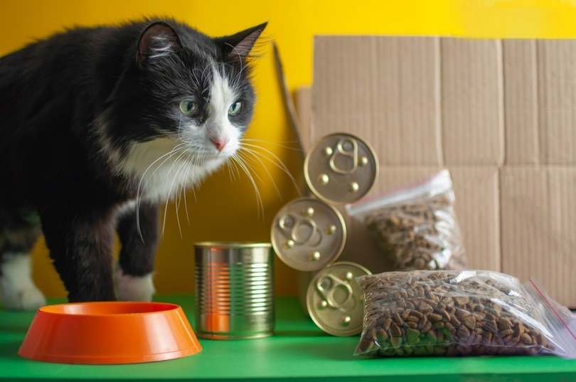 5- Reasons -to- Check- Cat -Food -Expiration- Dates-1