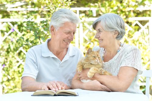 Are-Cats-Therapeutic-for-Seniors