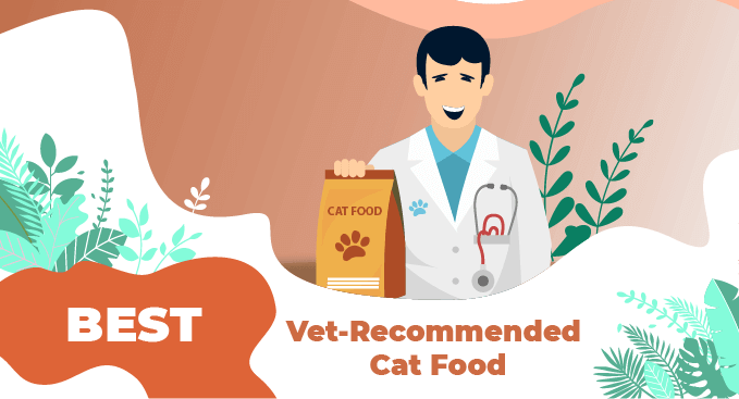 Best-Vet-Recommended-Cat-Food