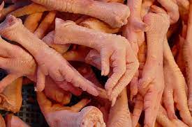 Can-Dogs-Eat-Raw-Chicken-Feet-2