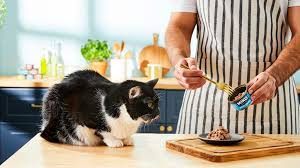 Cat-Food-Ingredients-to-Avoid-1