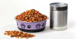 How- Long -Can -You- Safely -Leave- Canned -Cat- Food- Out-2