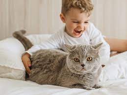 Exposure-to-Cats-Can-Reduce-Childhood-Asthma-Rates 