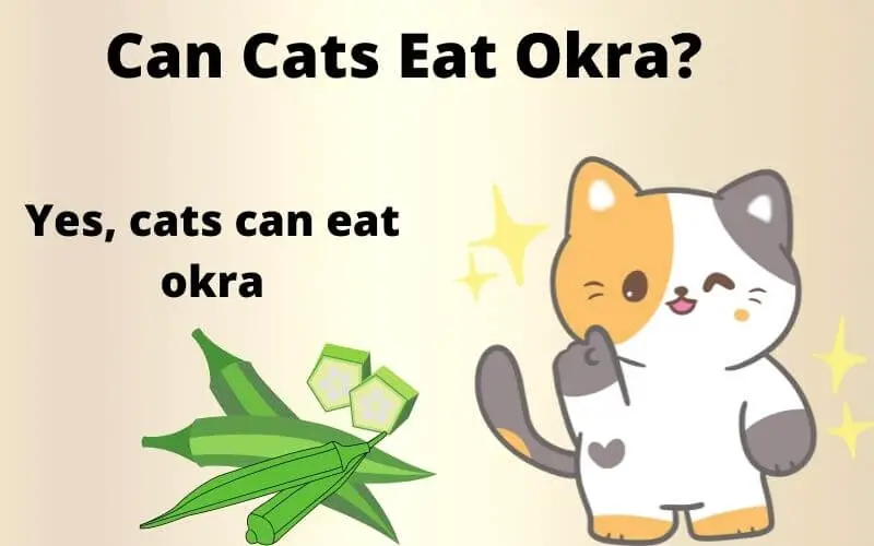 Is Okra Safe for Cats to Eat?