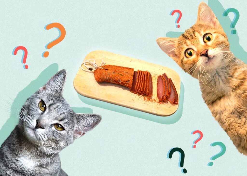 Can Cats Eat Pastrami? Great Health Advice & Alternatives From Vet