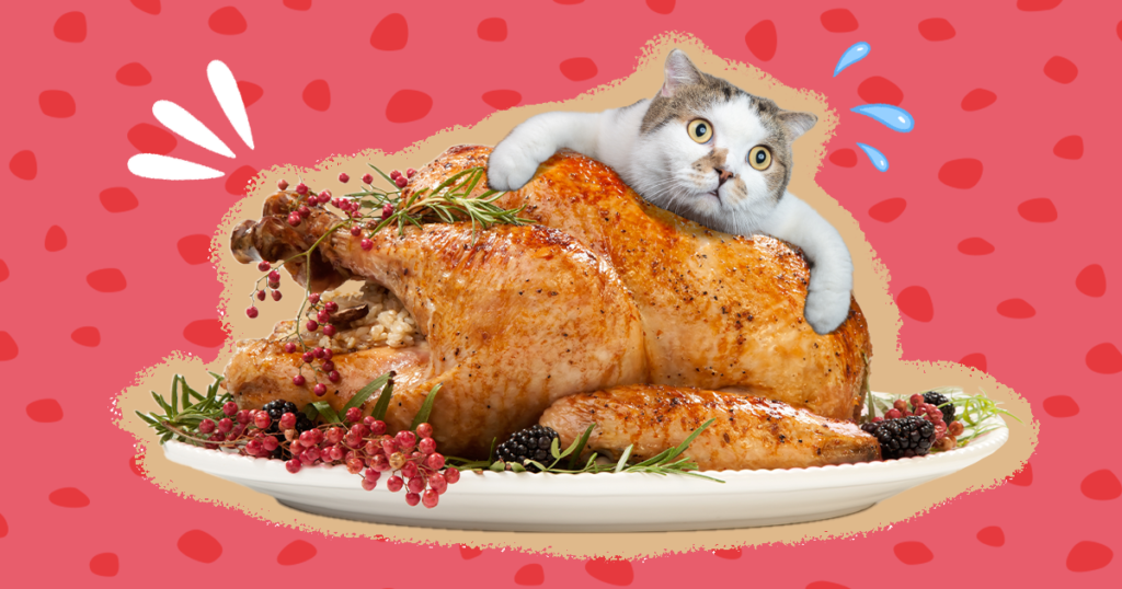Can Cats Eat Rotisserie Chicken? Navigating Feline Dietary Choices