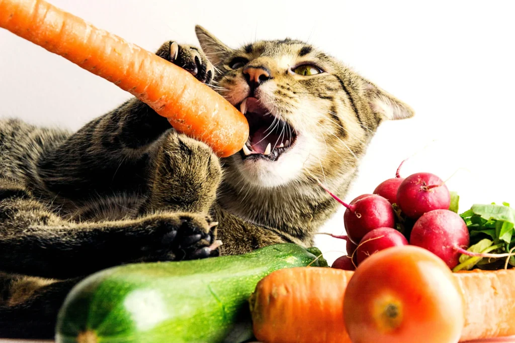 Can Cats Eat Carrots? The Truth About Cats and Veggies