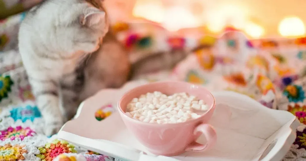 Benefits of Marshmallows to Cats